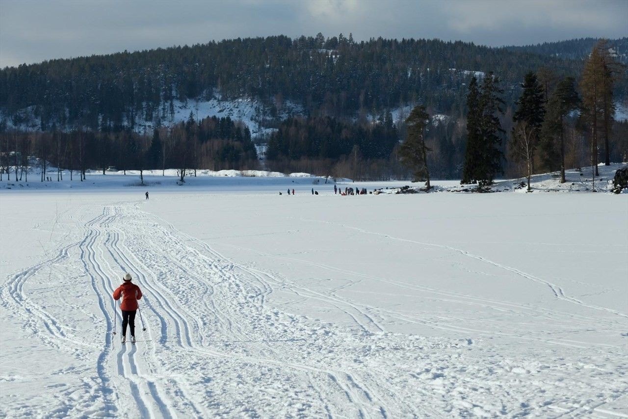 Ta på skiene like ved leiligheten og ta turen via Mærradalen og ut i Marka. Galleribilde