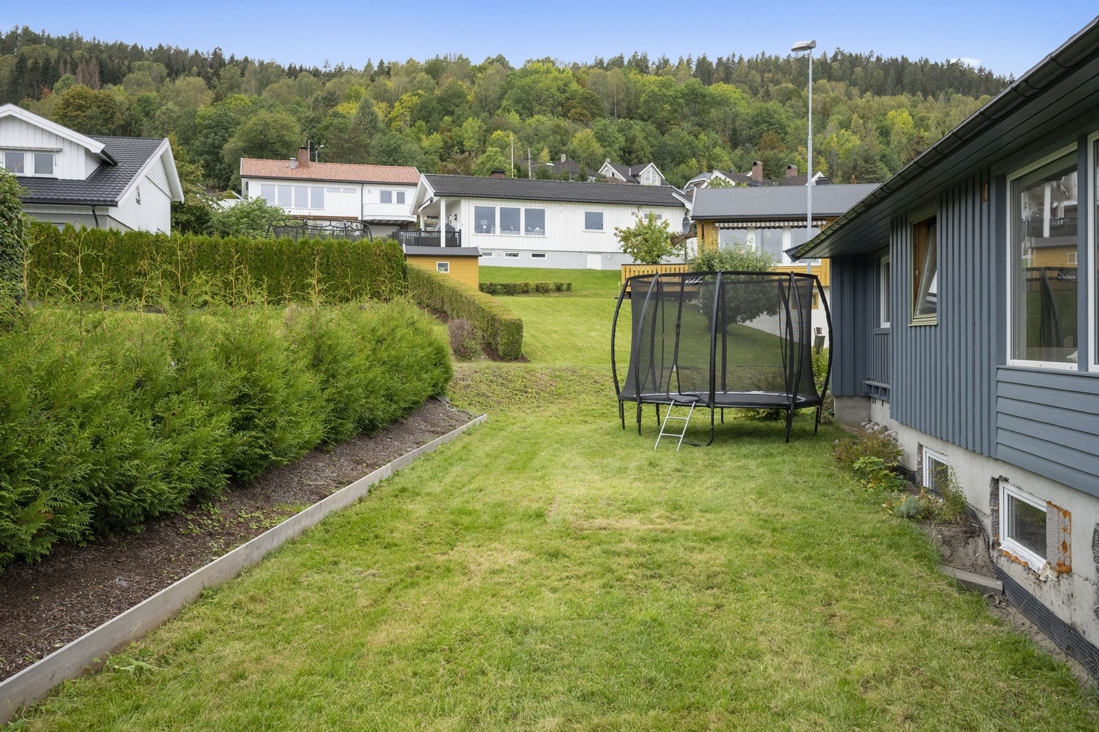 7778186006967 Galleribilde