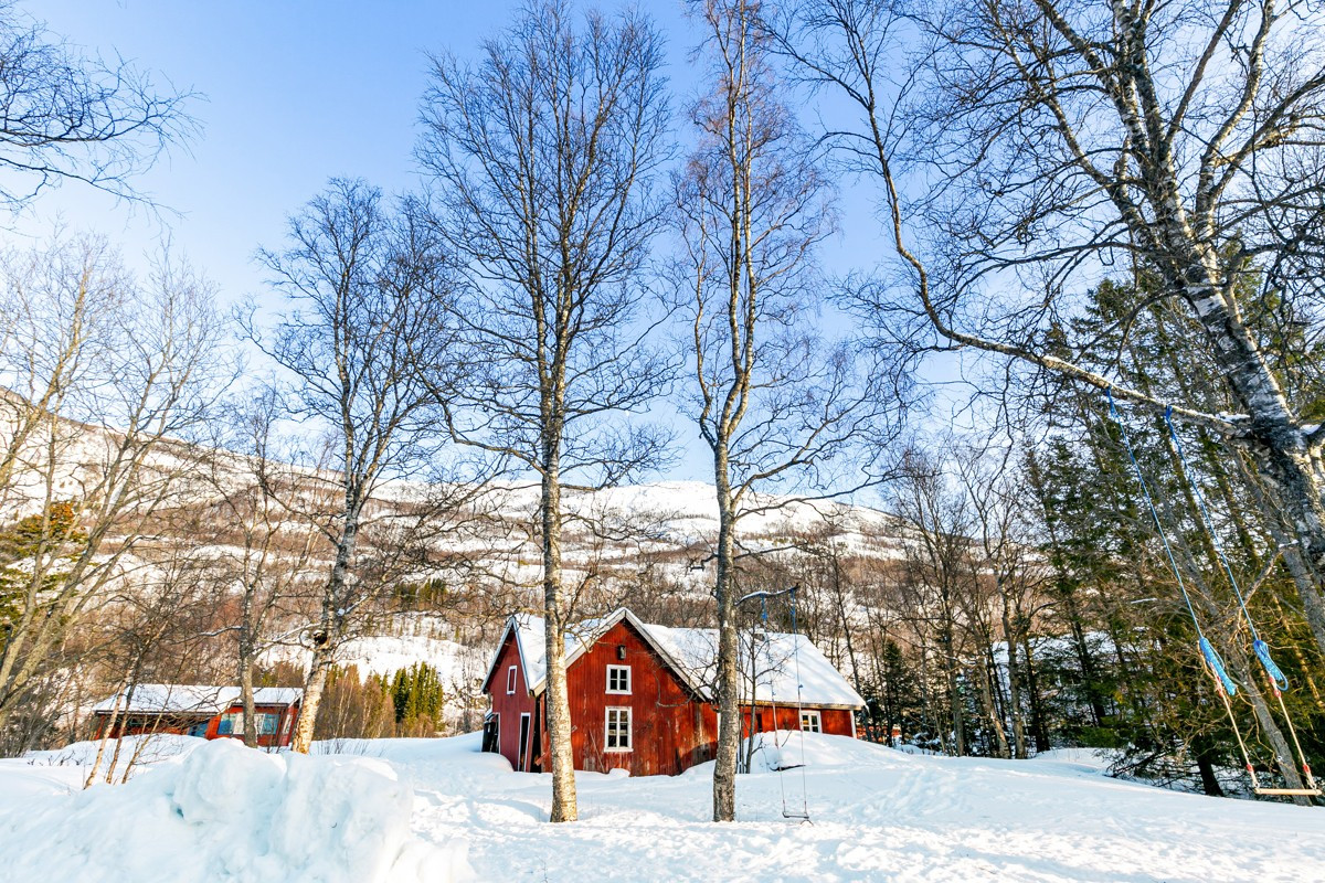 Området