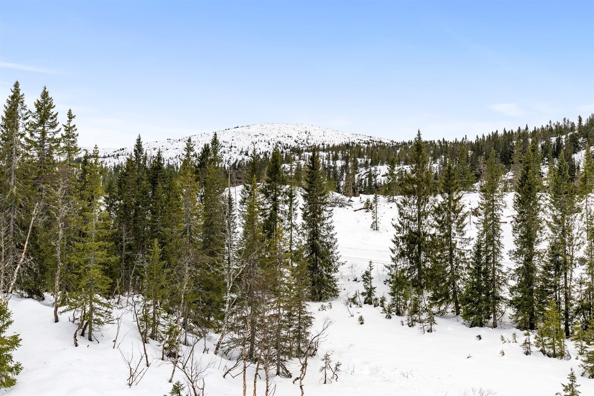 Høgfjell og ettusenogfemmeterhøgda. Galleribilde