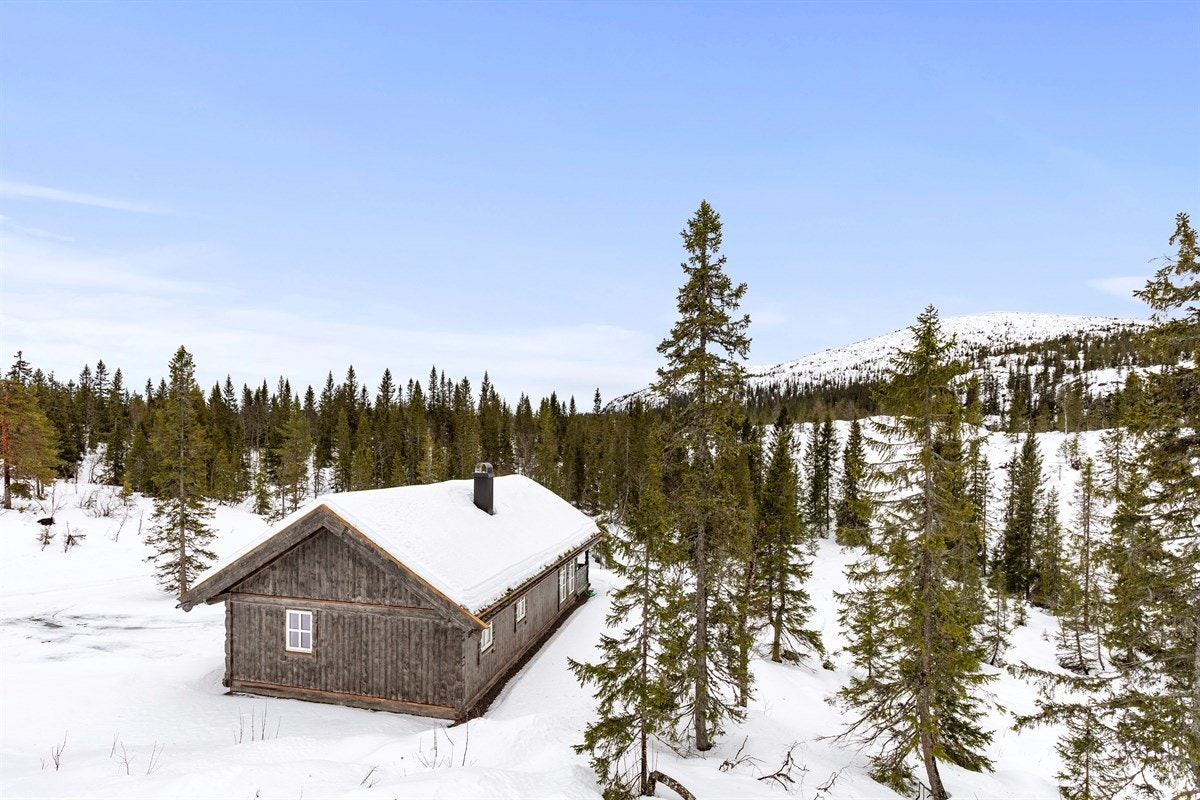 Vikerfjell kan tilby aktiviteter for alle aldersgrupper året rundt! Galleribilde