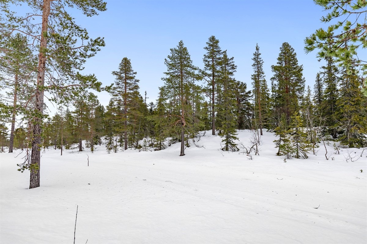 På sommerstid er det fine sykkelstier, tustier og gode muligheter for fiske, sopp- og bærplukking. Galleribilde