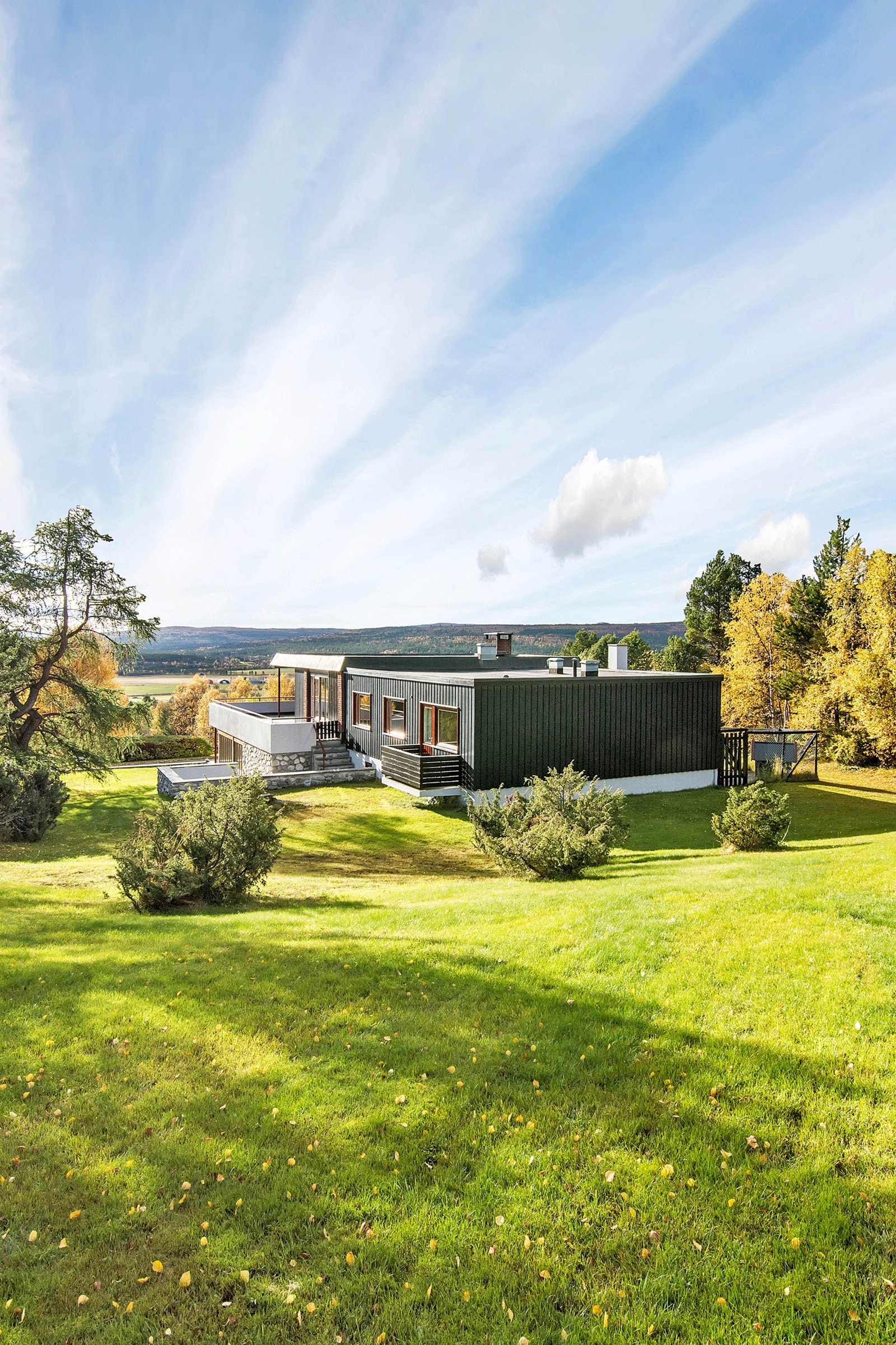 Stort og grønt området hvor å boltre seg på. Galleribilde