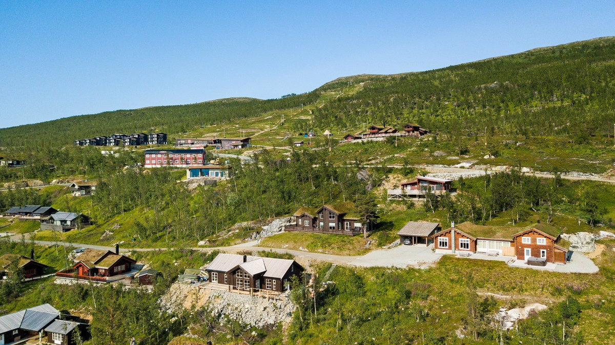 Området