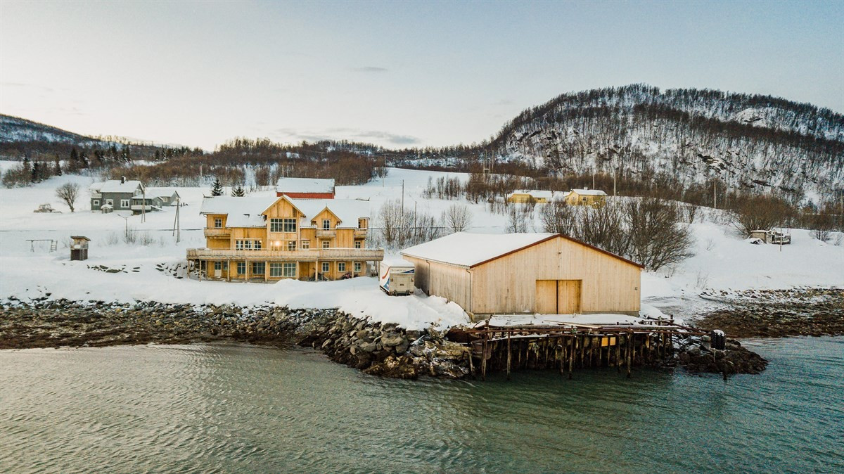 Område