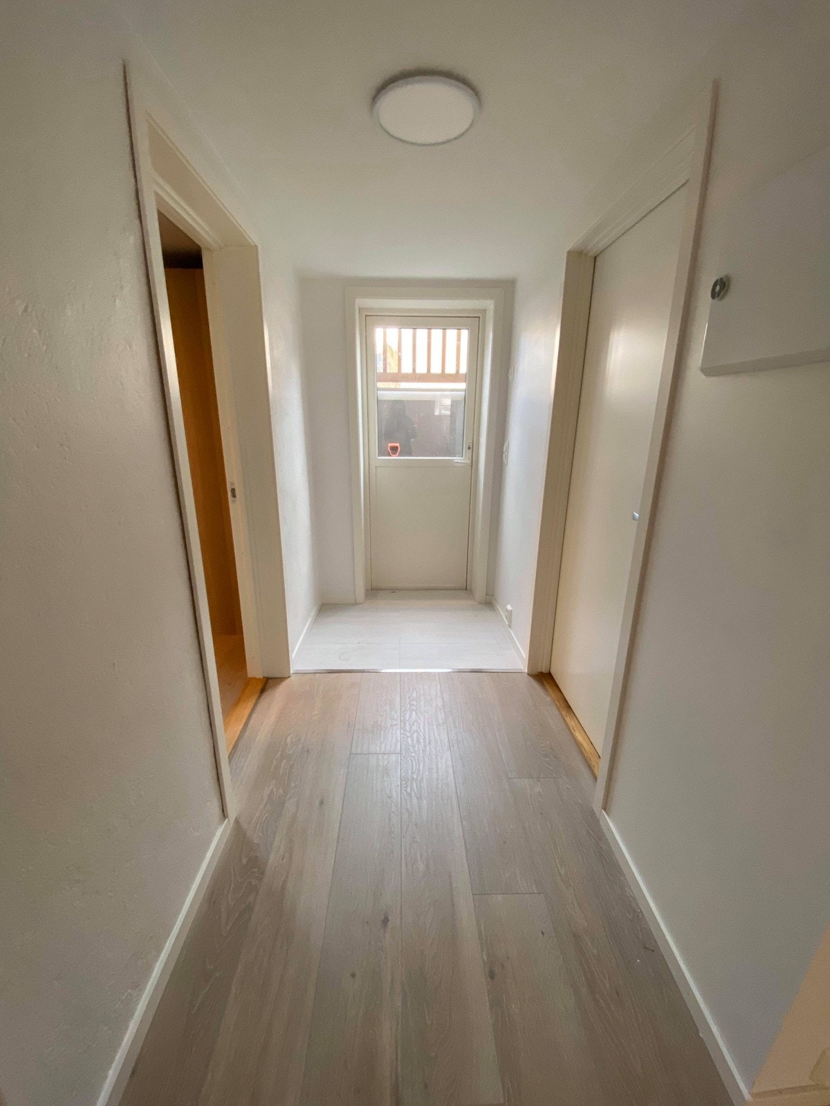 Lys gang. Galleribilde