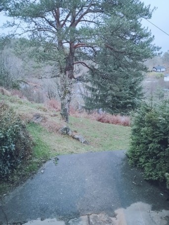 uteområde Galleribilde