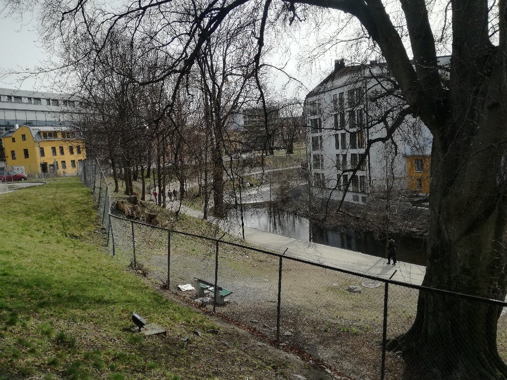 Flotte turområder Galleribilde