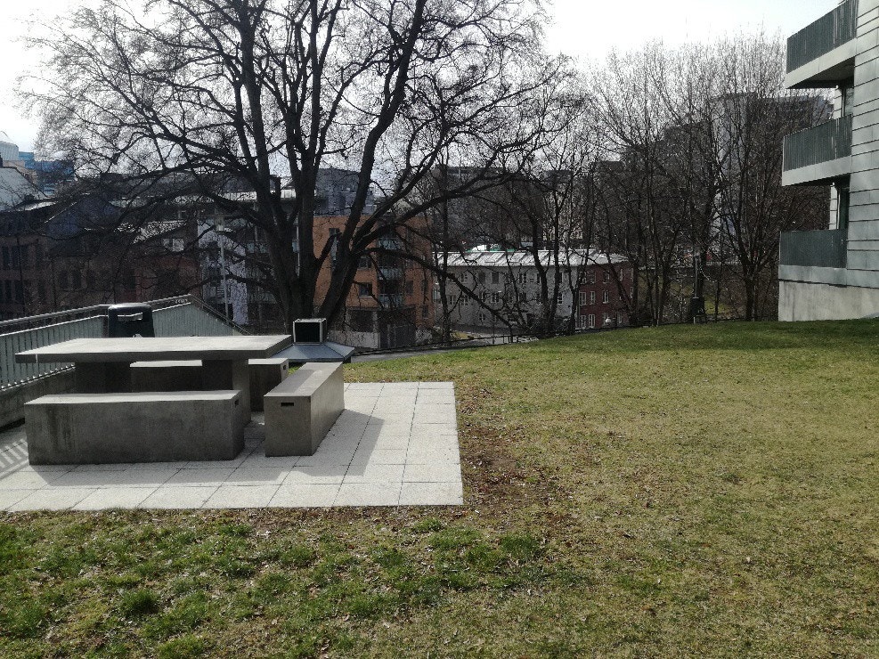 Sittegruppen i bakgården. Elva rett nedenfor Galleribilde