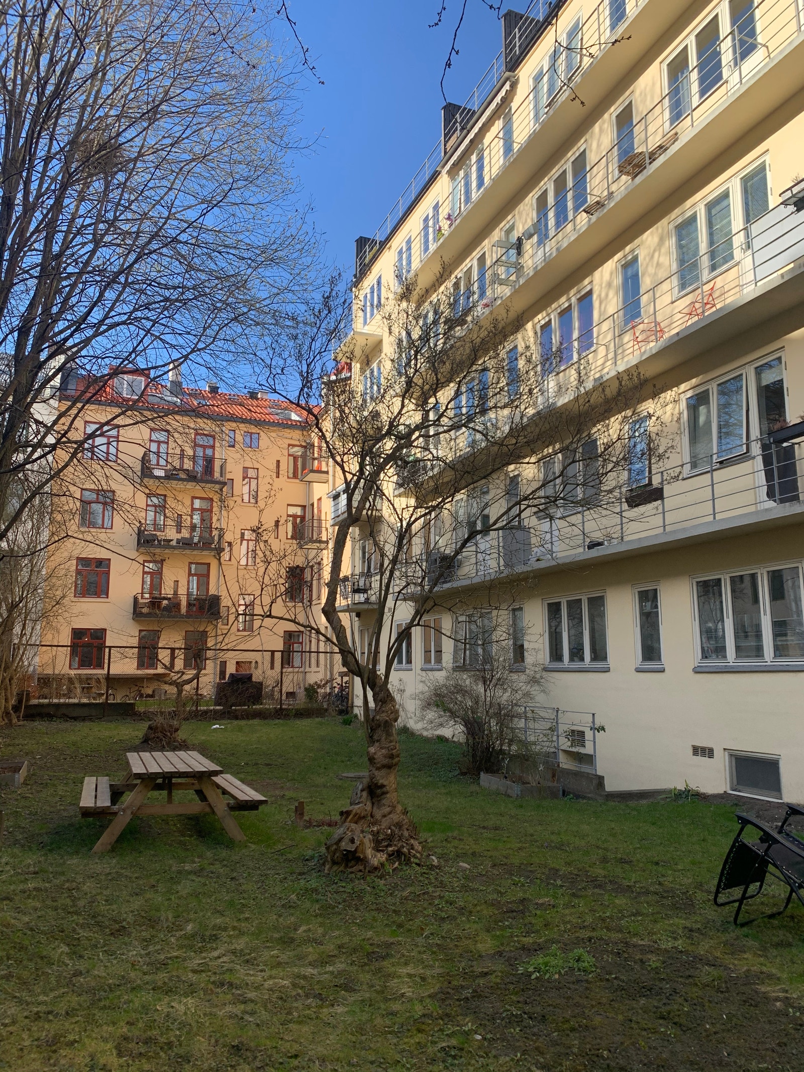 Sameiets felles bakgård. Galleribilde