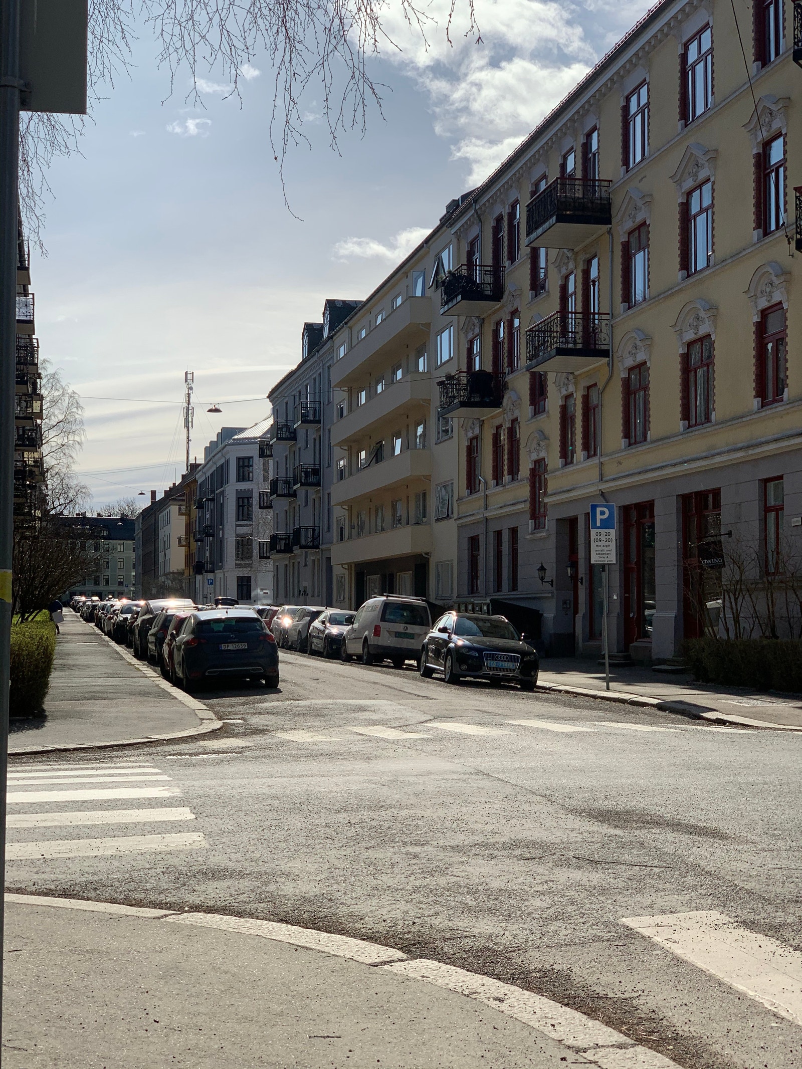 Rolige omgivelser på Majorstua. Galleribilde