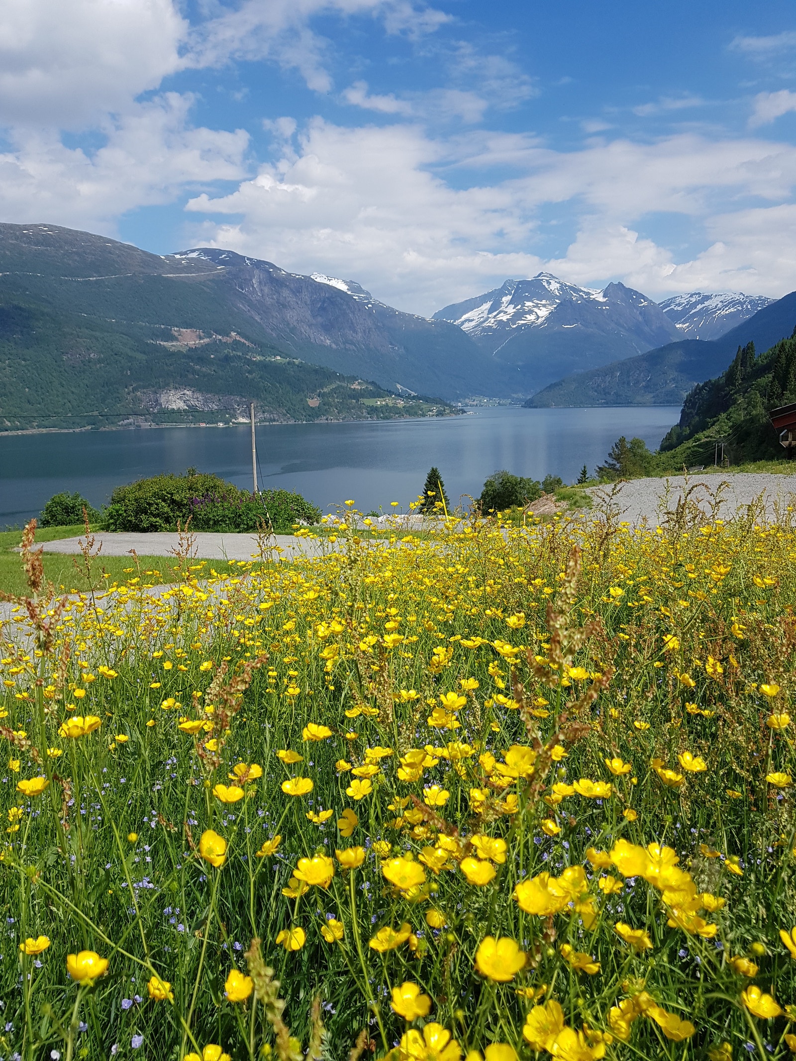 Utsikt innover fjorden Galleribilde