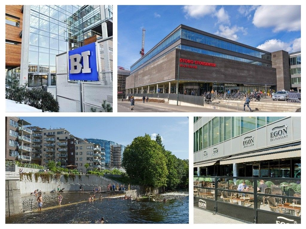 Omgivende miljø Galleribilde