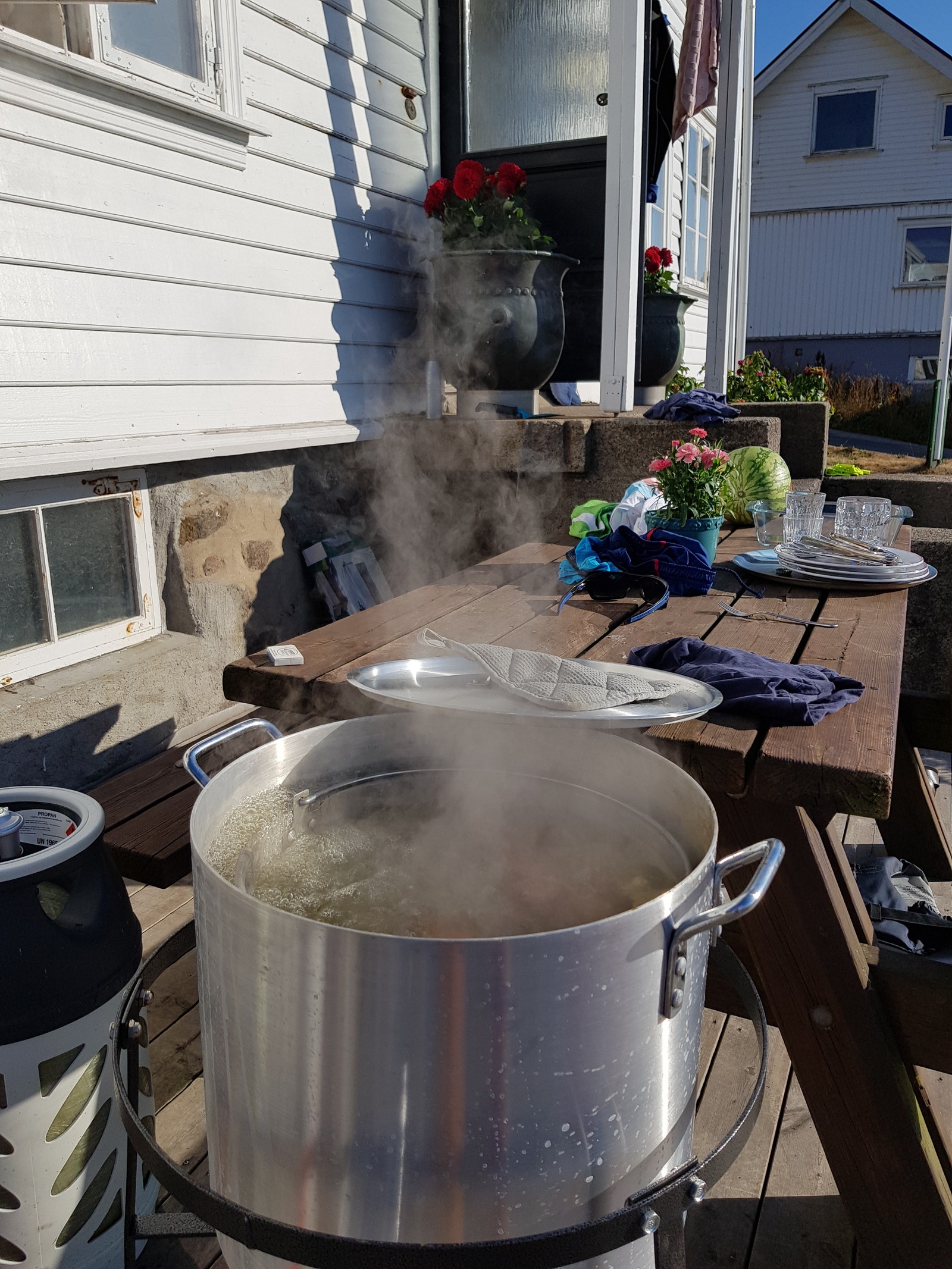 Krabber til koking finner du rett utenfor bryggekanten Galleribilde