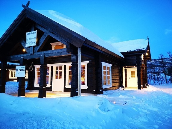 Tilsvarende hytte Galleribilde