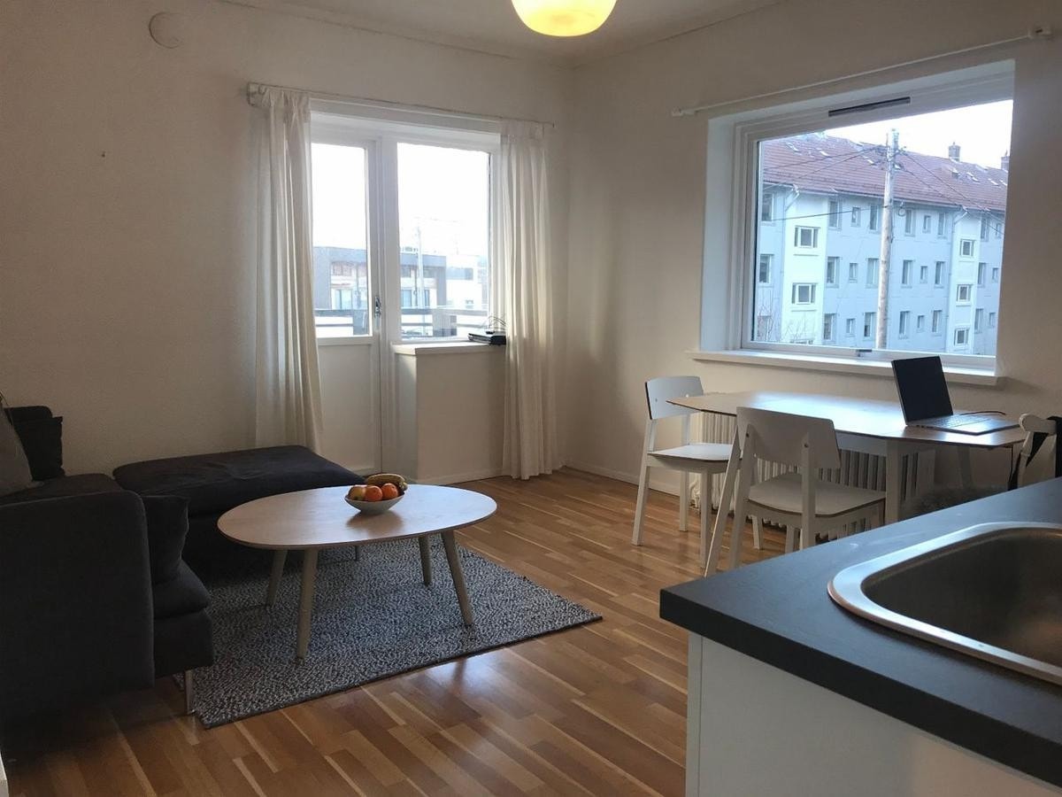 Stue/kjøkken Galleribilde