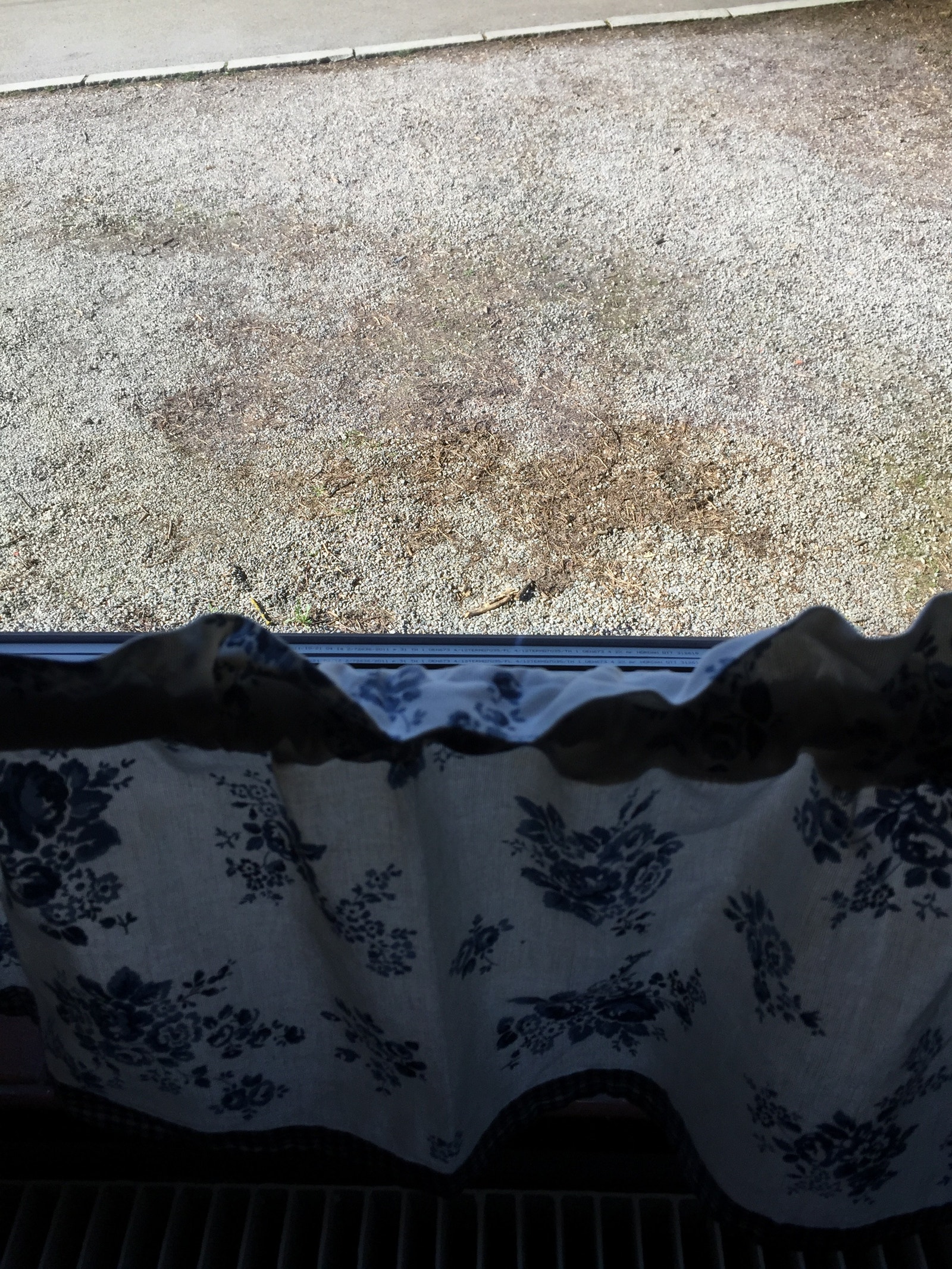 Egen parkering under kjøkkenvindu Galleribilde