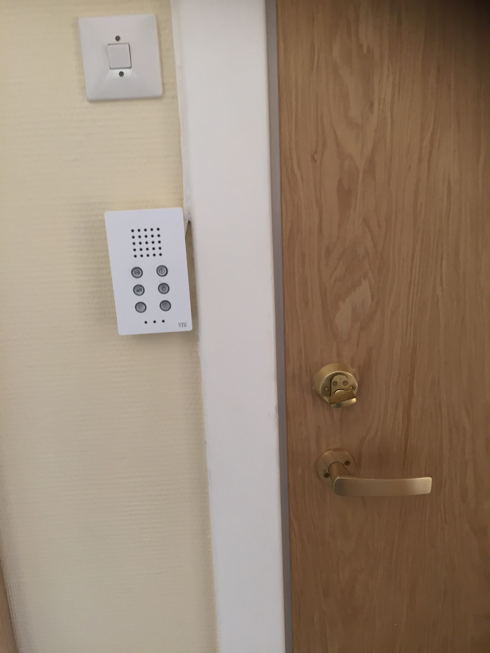 Porttelefon - Ny utgangsdør med kikkhull Galleribilde