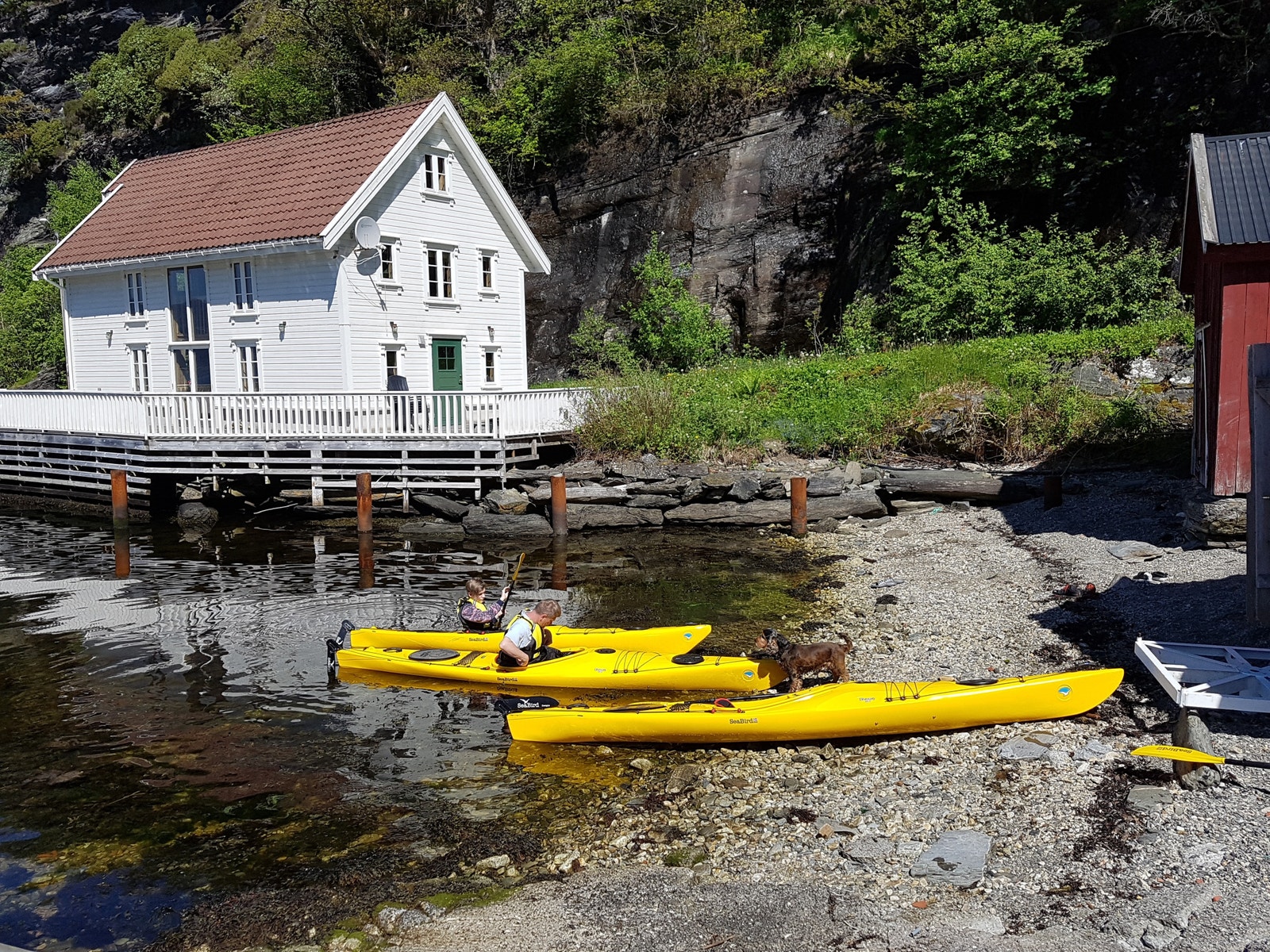 Strandlinje ved bolig Galleribilde