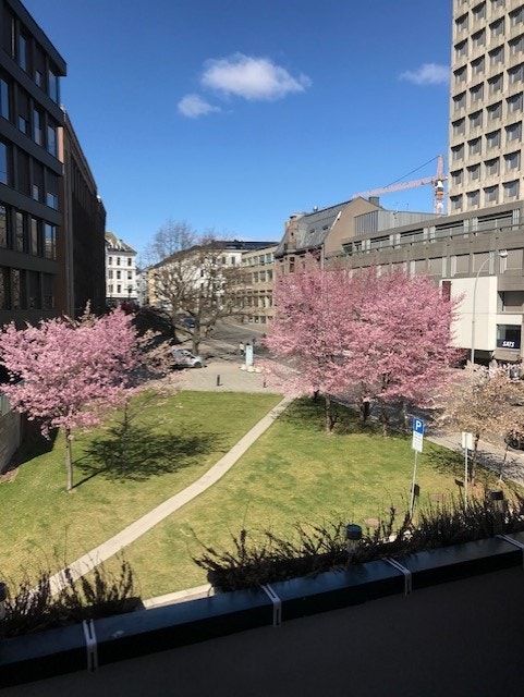 Utsikt fra balkong vår Galleribilde