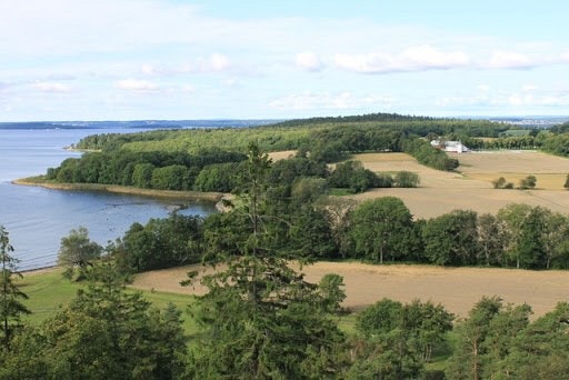 Jeløya Galleribilde