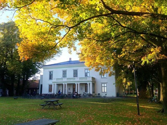 Alby/ nærområdet Galleribilde