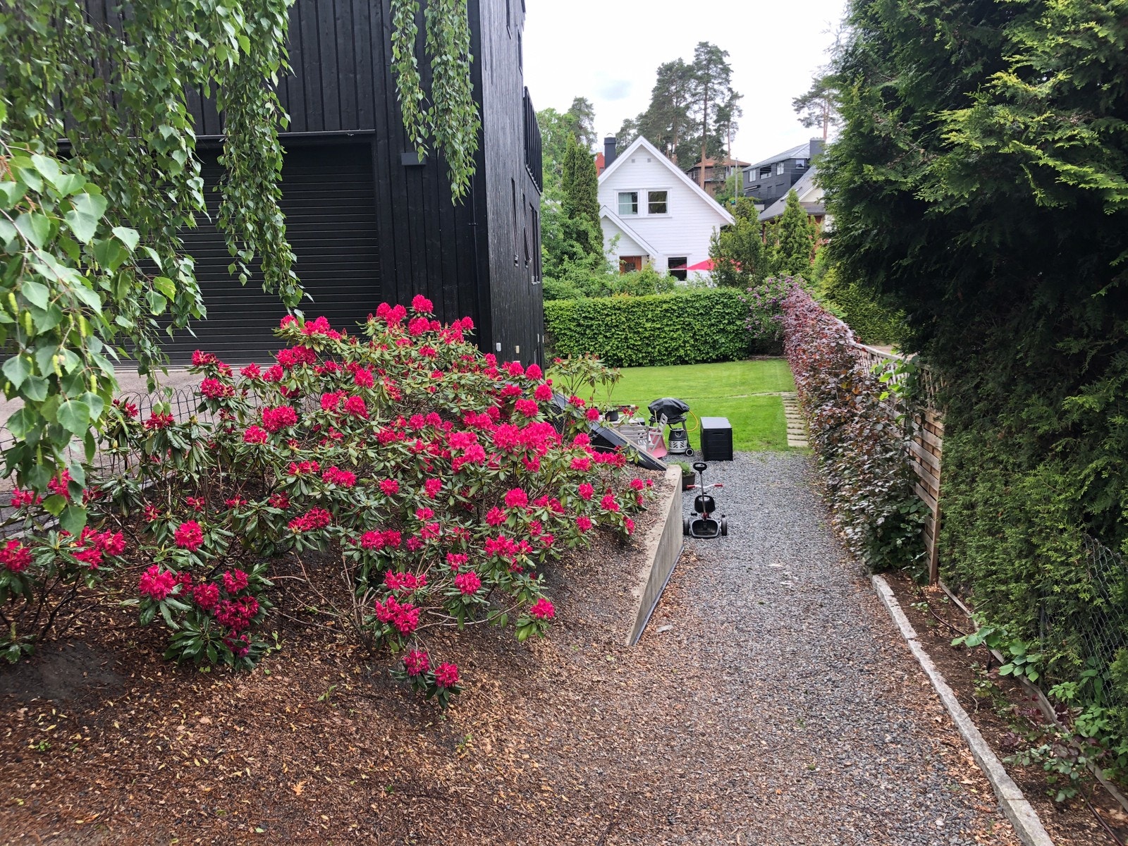 Gangsti til inngang / Pathway to entrance Galleribilde