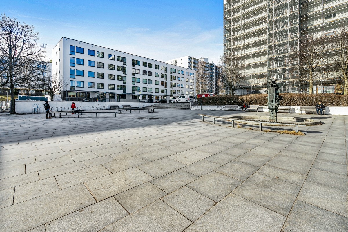 Nærområde Galleribilde