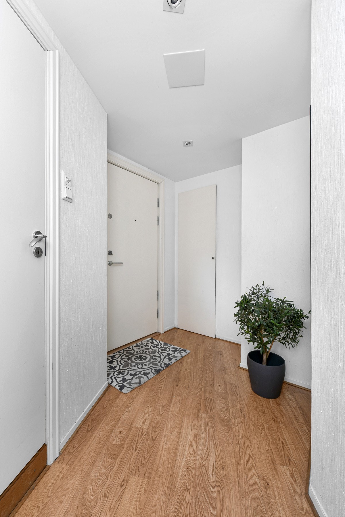 Innvendig har leiligheten en lys entré/gang som ønsker deg velkommen inn. Galleribilde