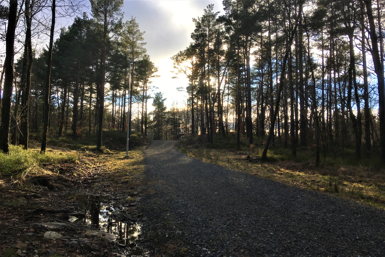 Lysløype/helårsløype - ideell for både tur og trening Galleribilde