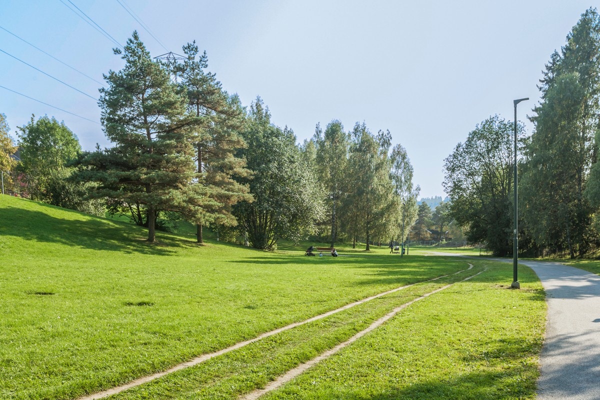 Mærradalen byr på flott turmuligheter, hvor man kan følge friarealet helt ned til Frognerparken eller løypenettet mot Bogstad Galleribilde