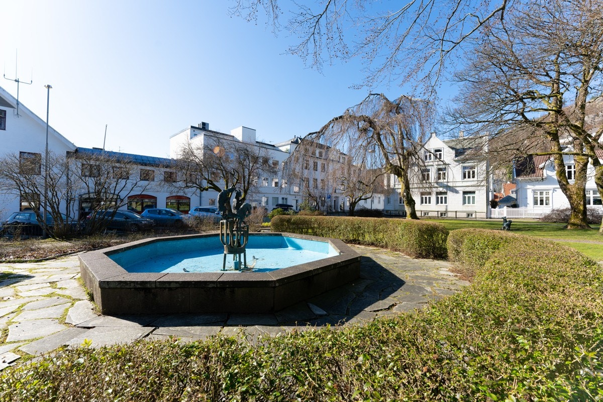 _dsc92331233_1 Galleribilde