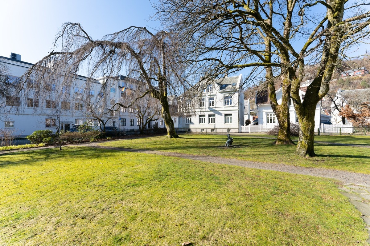 _dsc92341234 Galleribilde
