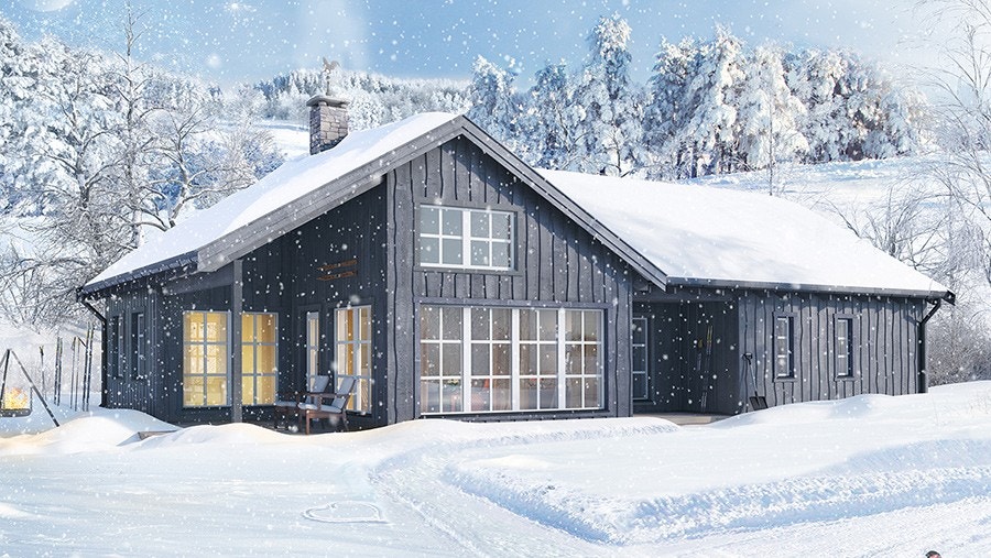 Vangslia Galleribilde