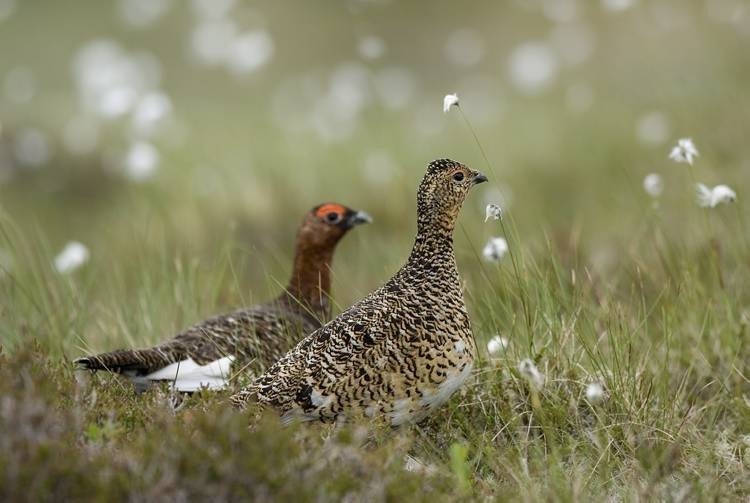 Flotte turområder både sommer og vinter Galleribilde