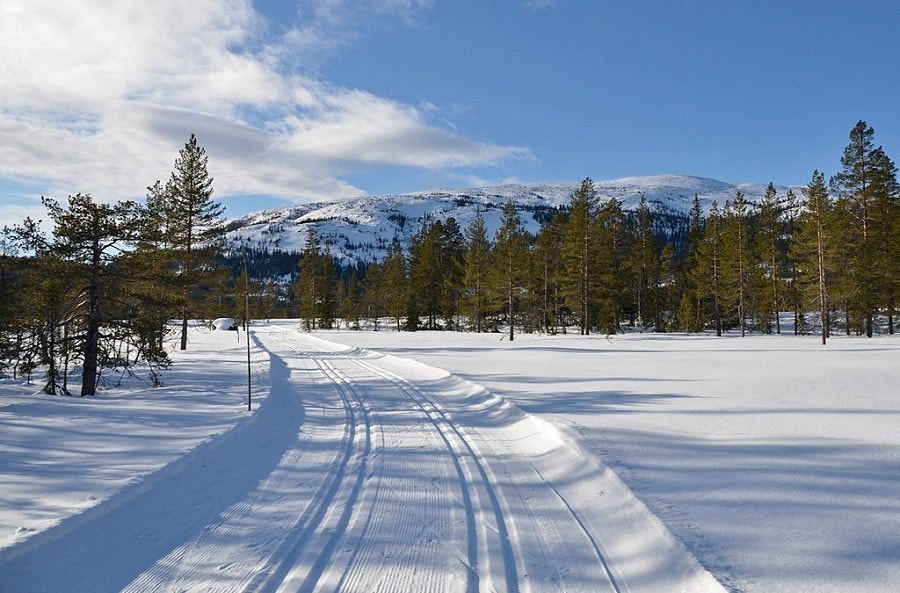 Et fantastisk løypenett for langrenn, skiløyper så langt øyet rekker.. Galleribilde