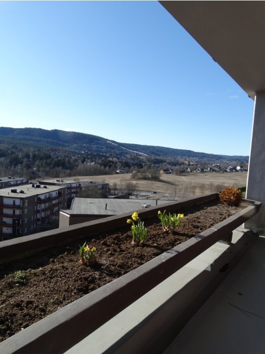 Utsikten fra terrassen. Galleribilde