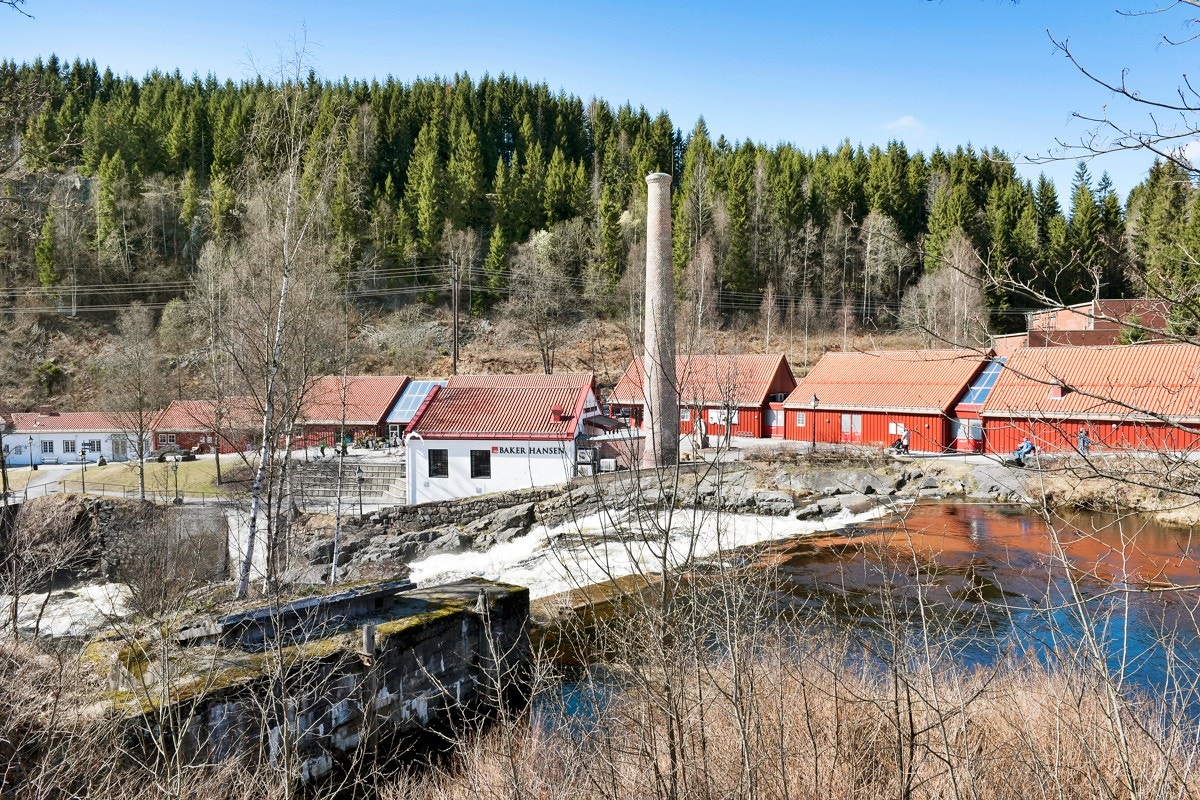 Sommerbilde av et utsnitt av Bærums Verk Senter Galleribilde