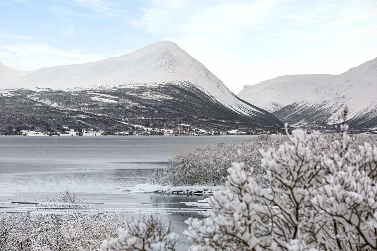 Fantastiske omgivelser med fjord og fjell