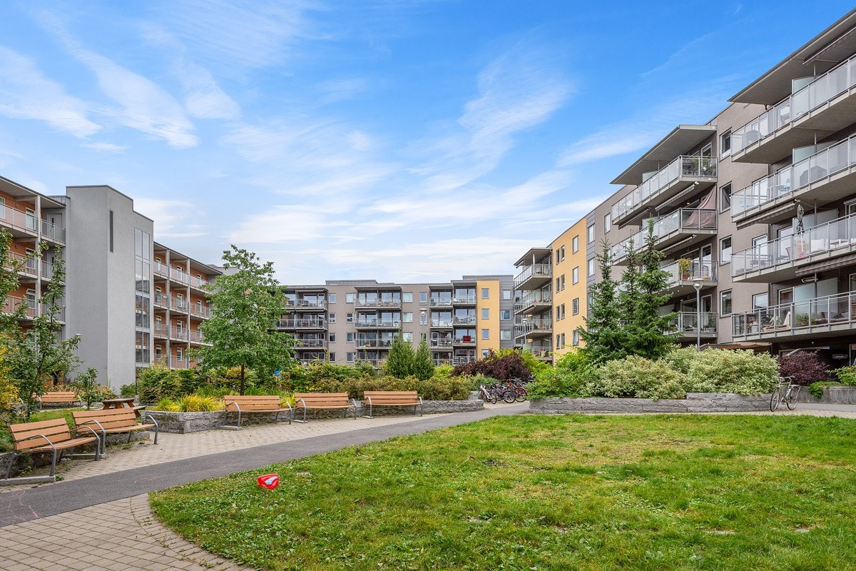 - Bakgården sett på sommerstid - Galleribilde
