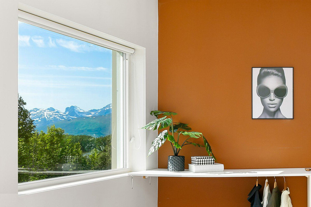 Nydelig utsikt mot natur og fjell