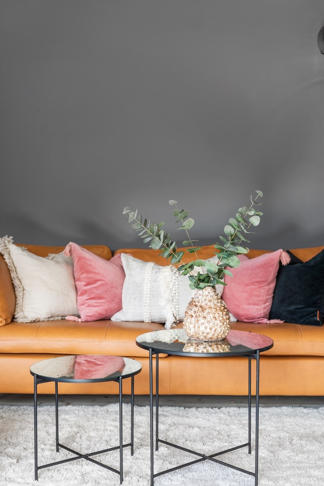 Husdyrhold er tillatt i sameiet Galleribilde