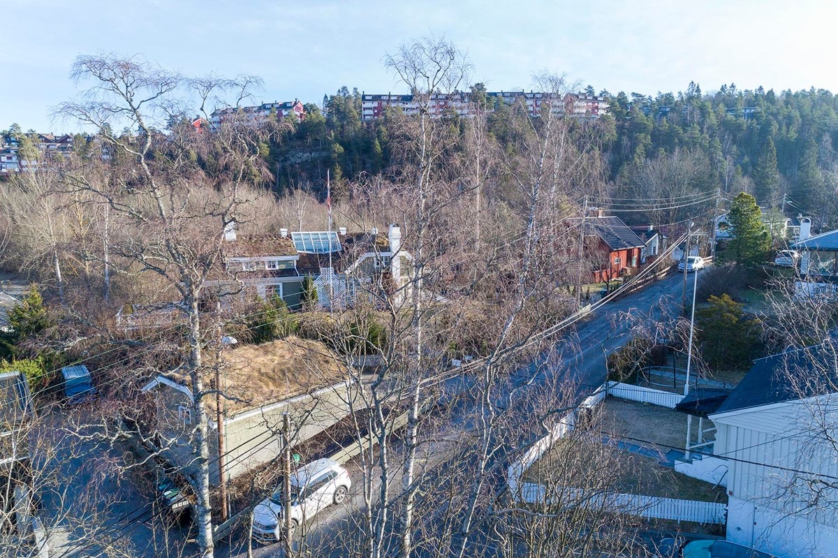 Drone-oversiktsbilde (7 meter), Galleribilde