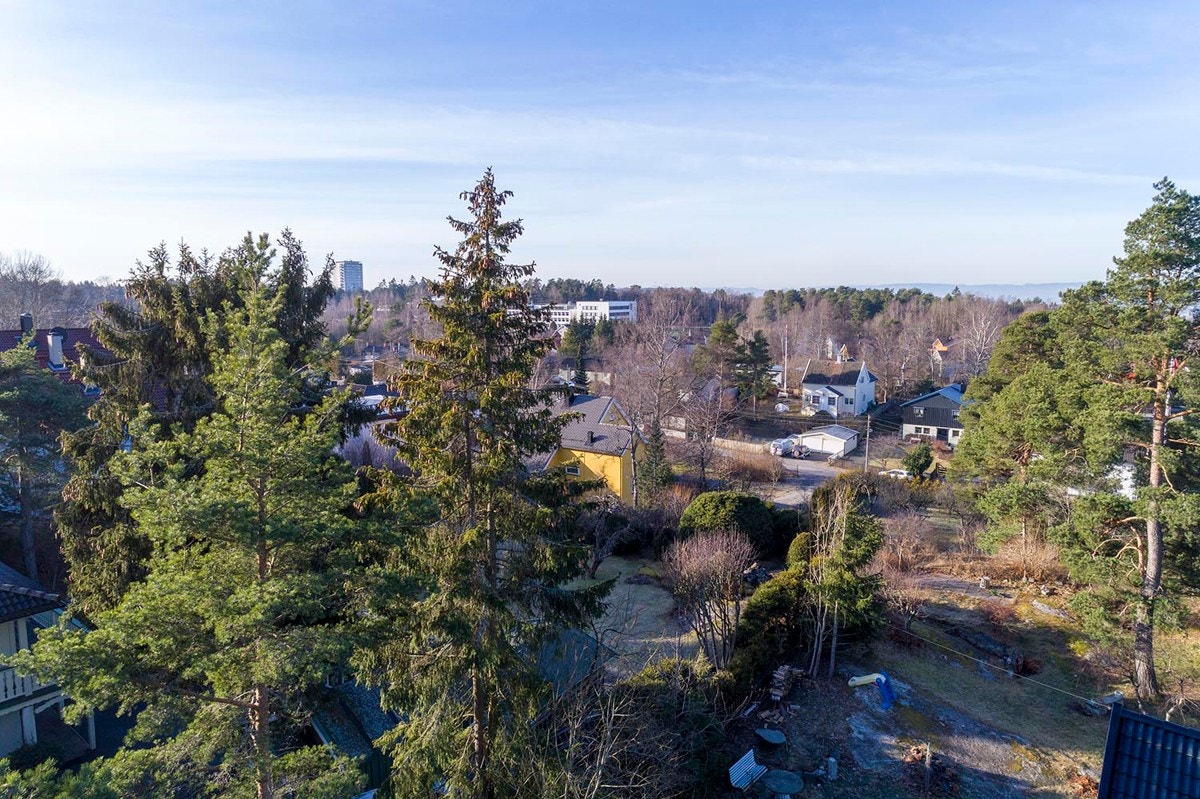 Drone-oversiktsbilde (7 meter), Galleribilde