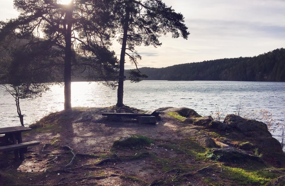 Grillplassen på Lutvann Galleribilde