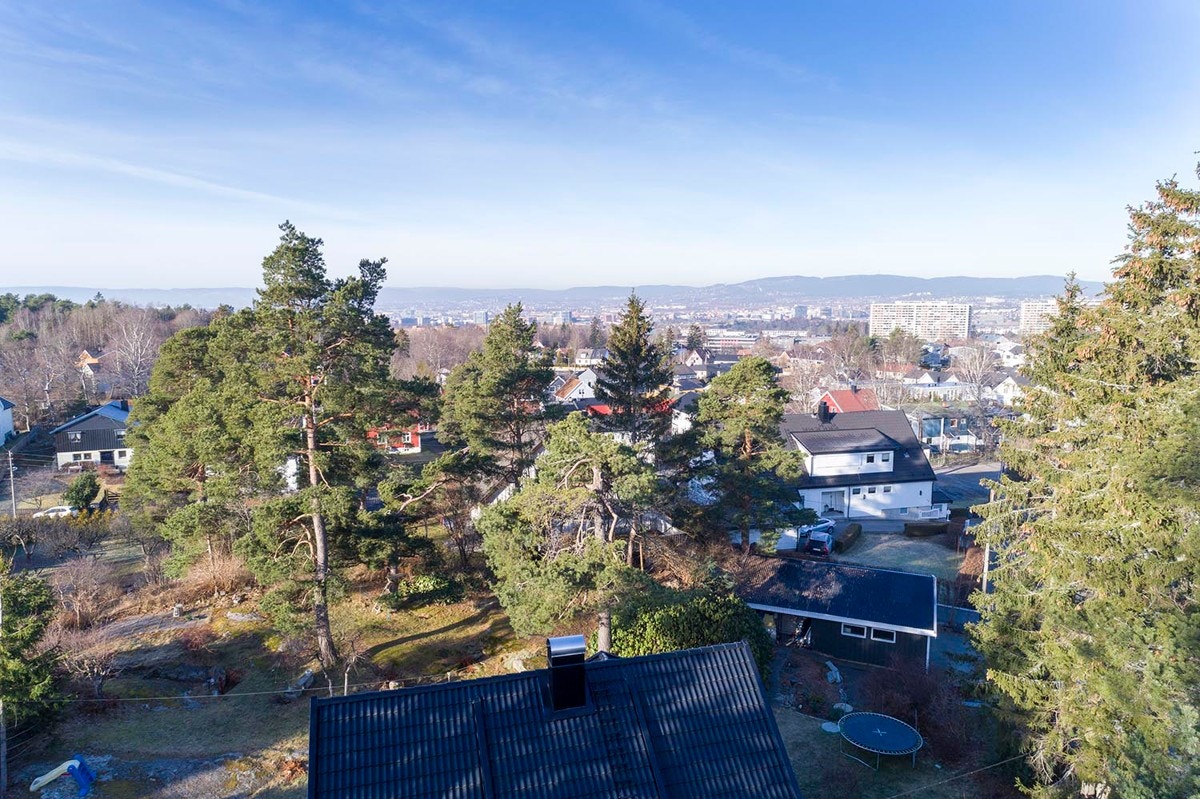 Drone-oversiktsbilde (7 meter), Galleribilde