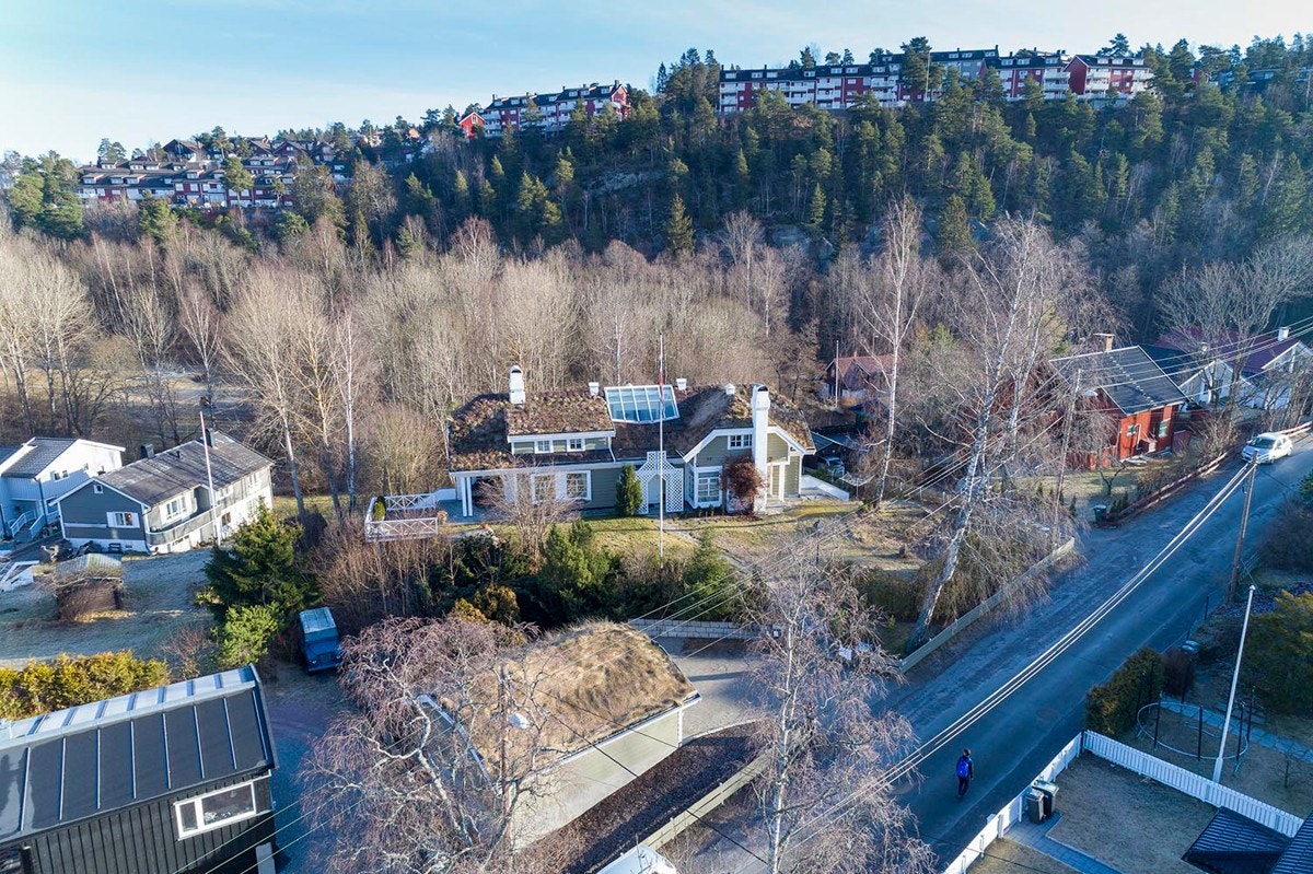 Dronebilde av nærmområde tatt på 11meters høyde. Galleribilde