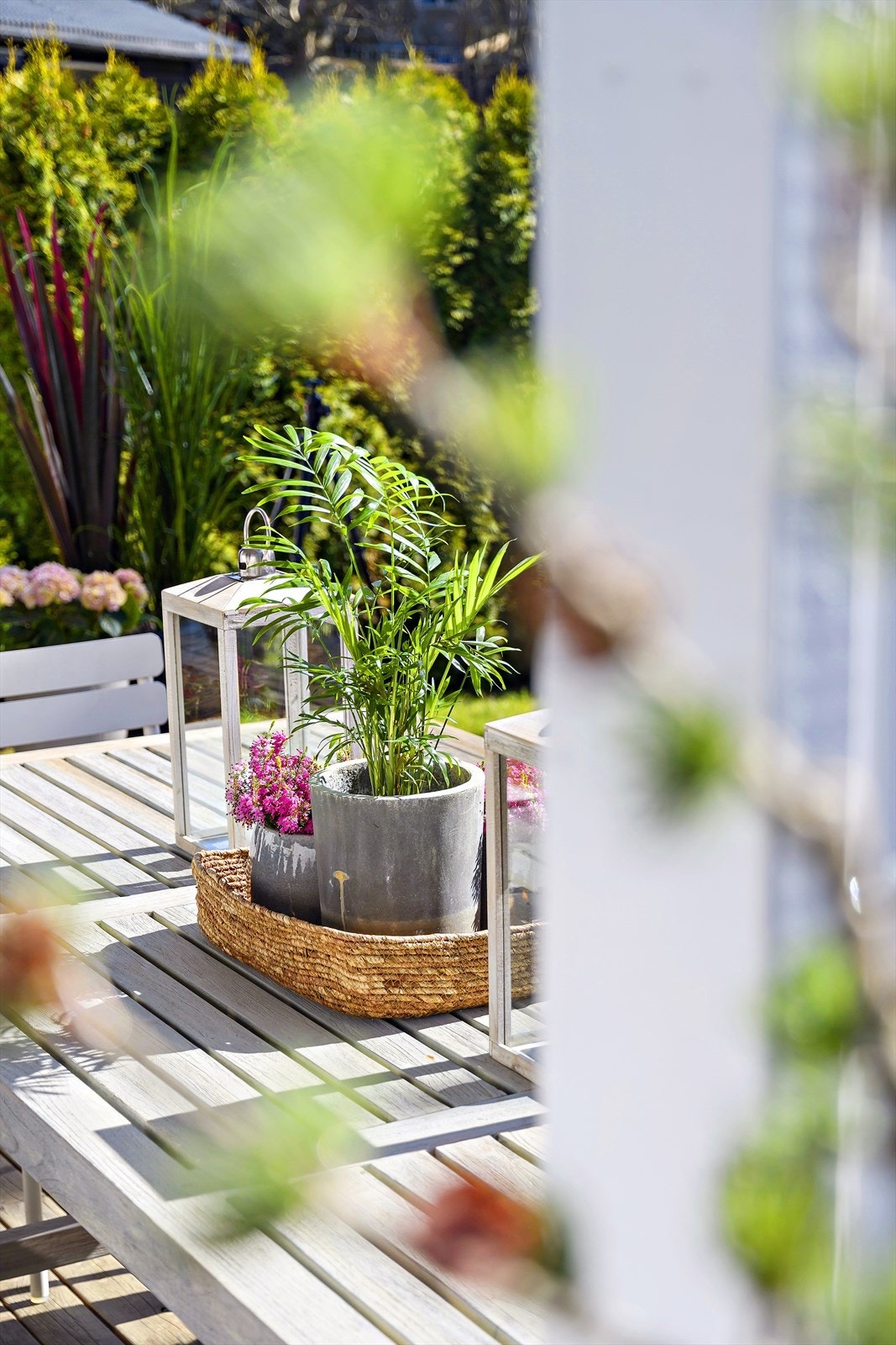 Detaljbilde Galleribilde