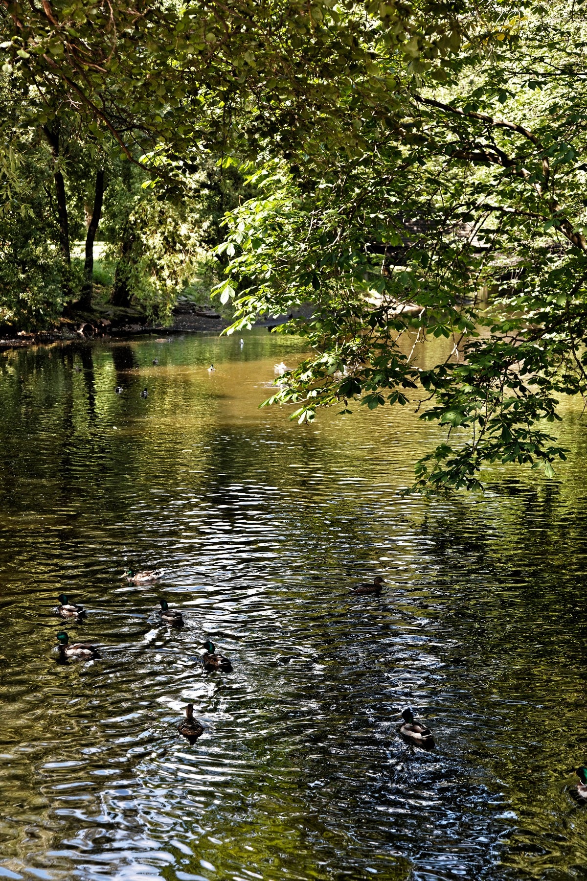 Nærområde Galleribilde