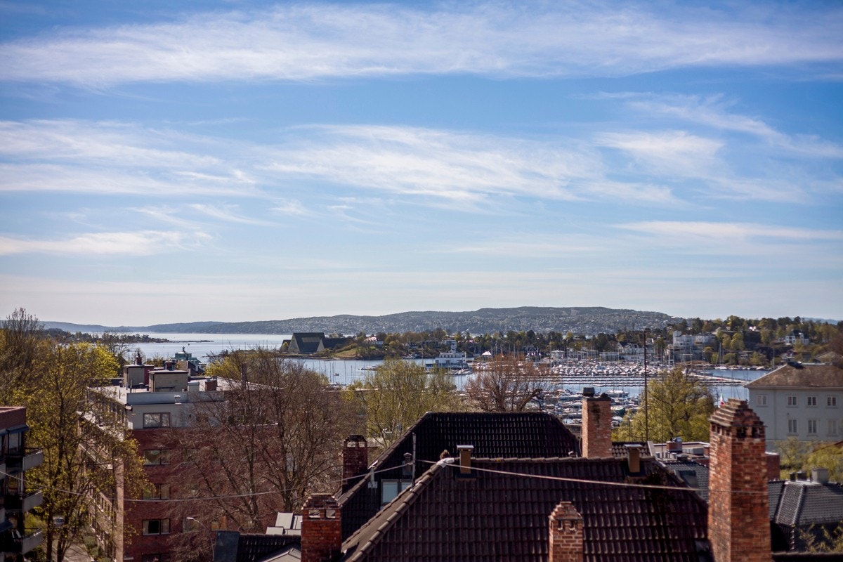 Utsikt mot Frognerkilen, Oscarshall og Nesodden Galleribilde
